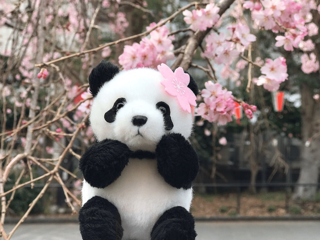 予告※】3月5日(木)に、2020年に発売した「おでかけシャンシャン