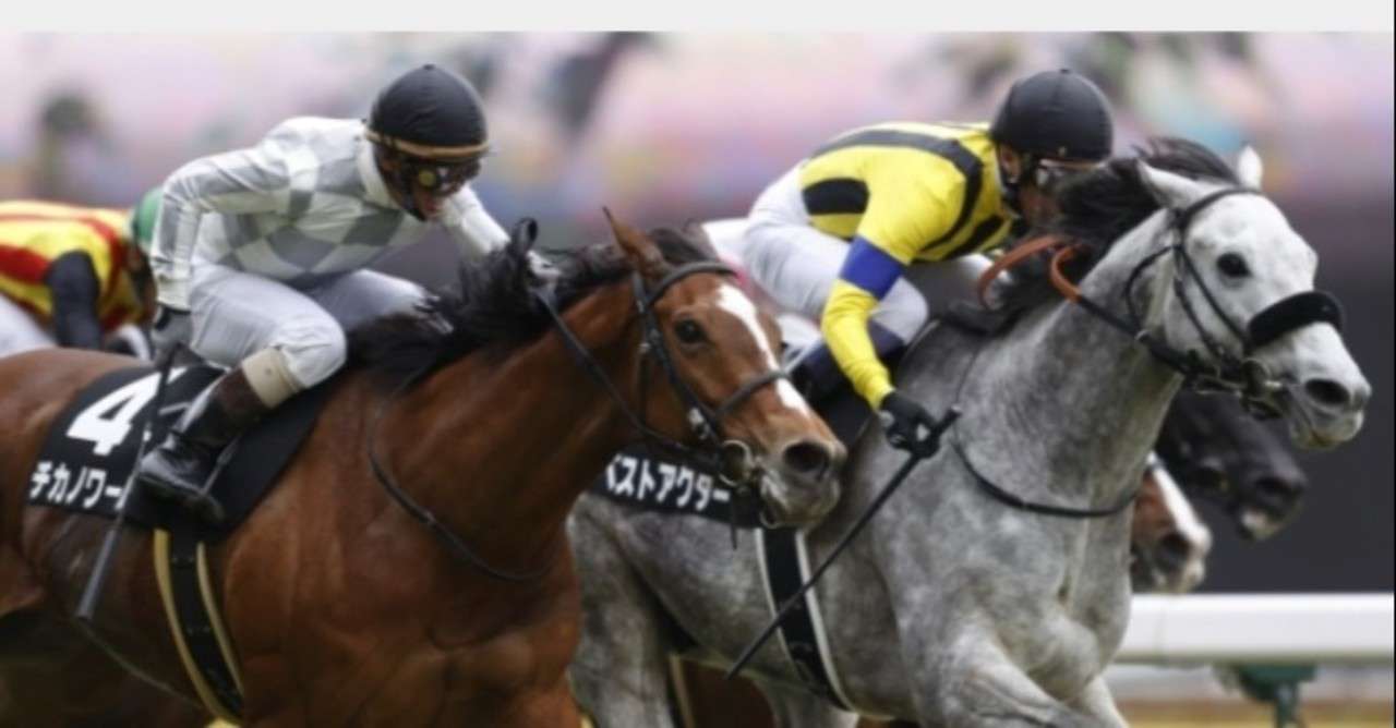 5 13 水 川崎チェック馬リスト 2レース 12レース 1 9 8 Note