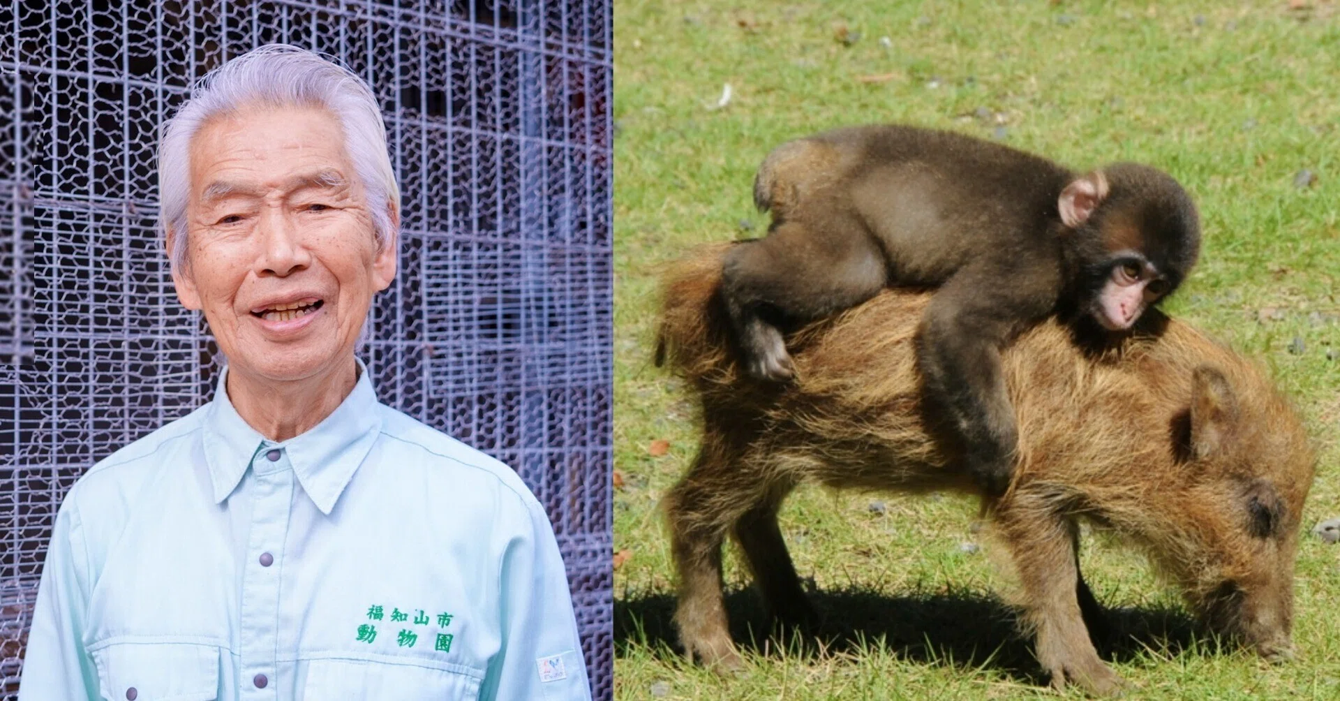 ロデオ猿・みわとウリ坊の育ての親。二本松園長、30年間ありがとうご