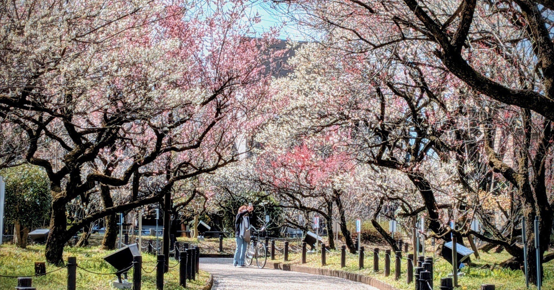 梅林公園（あれから一年！）｜新・画楽舎便り