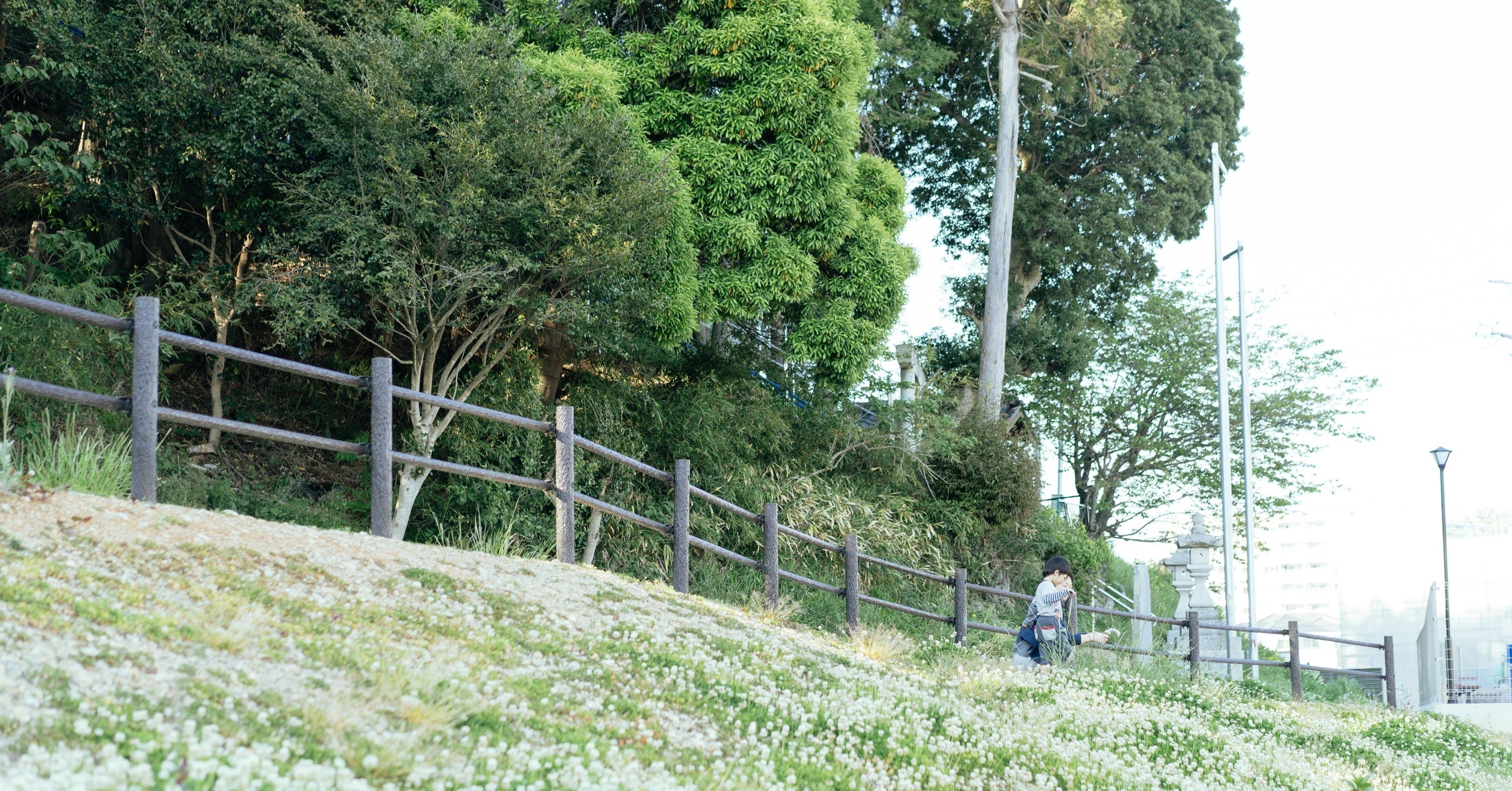 シロツメクサの花が咲いたら さあマスクで歌おう もいんぐ Note