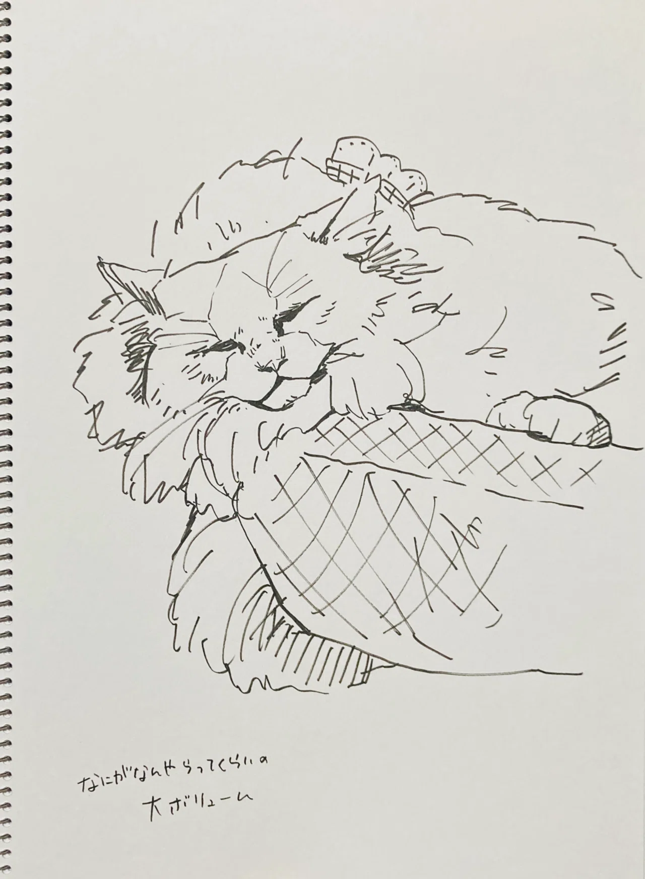猫カフェ・スケッチ｜Ayano Kamiya