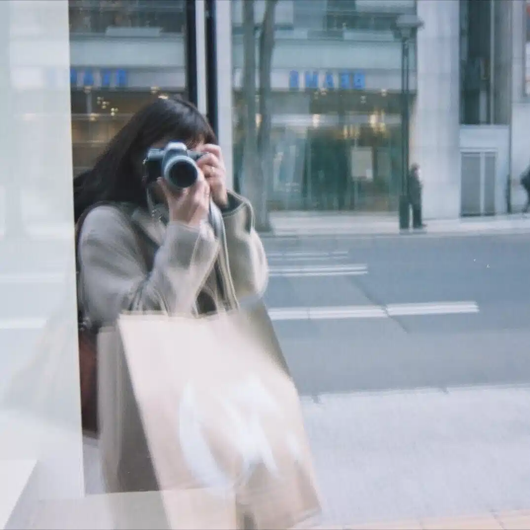 大きな楓