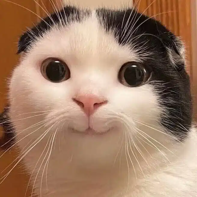 monaka