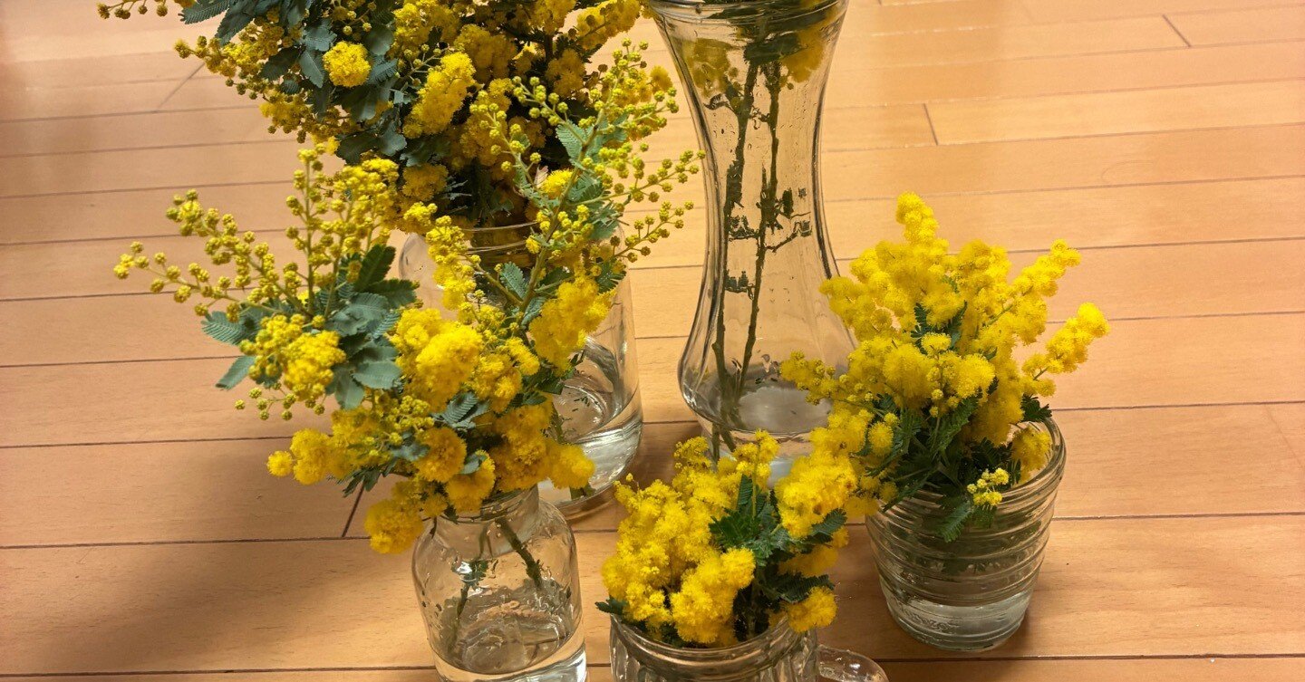 ミモザ天国｜みほぷり