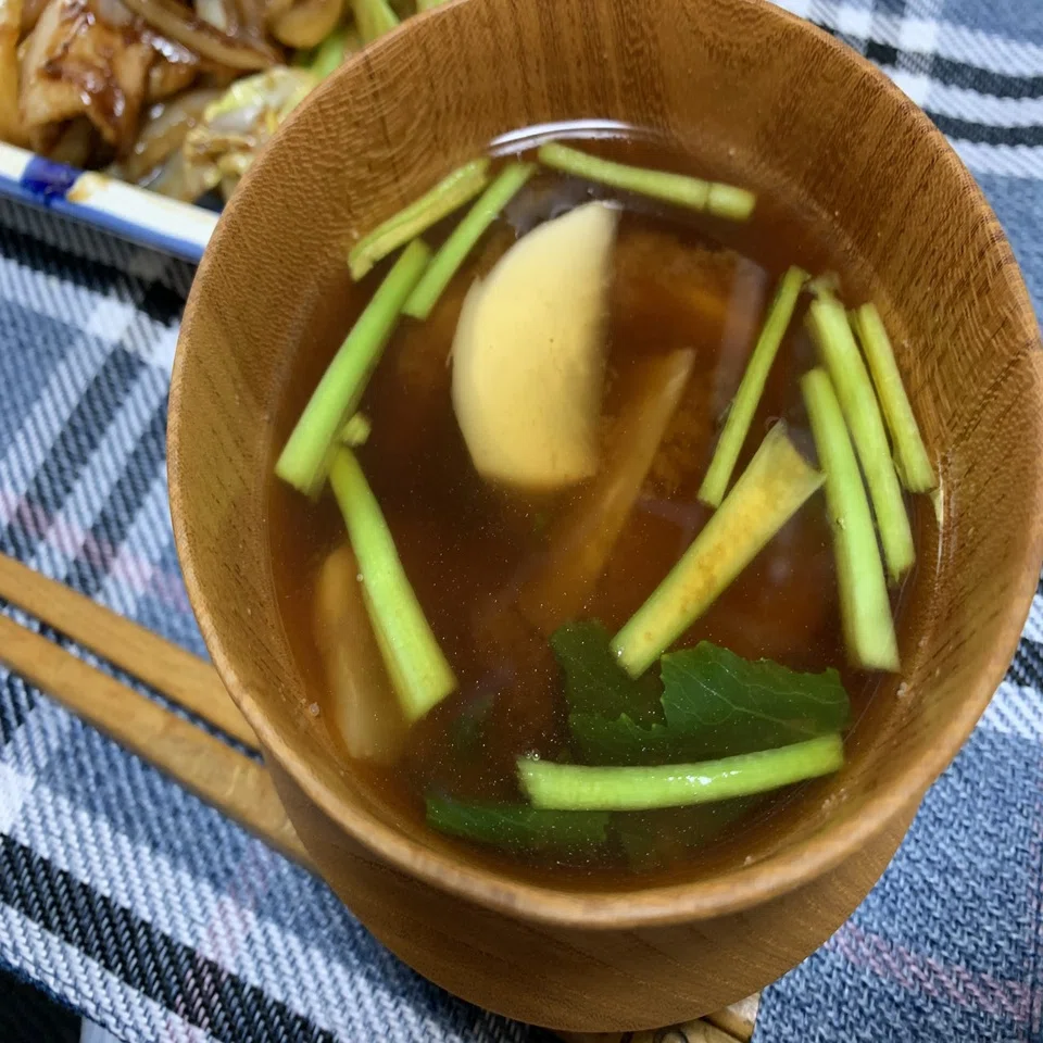 活動歴および当時の関連ビジュアル記録