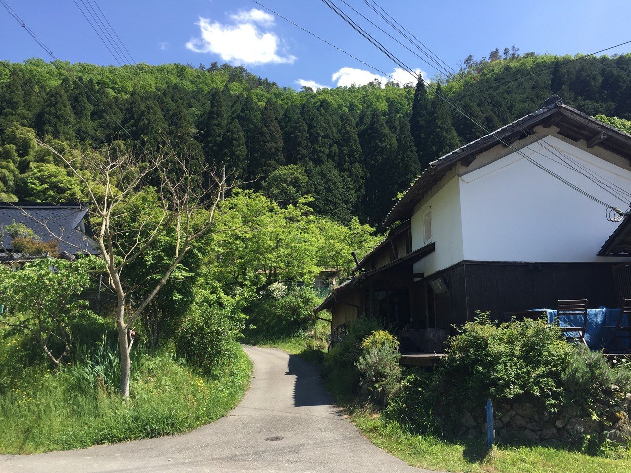 山の端の梢 金野幸雄 Note 山の端の梢 金野幸雄 Note