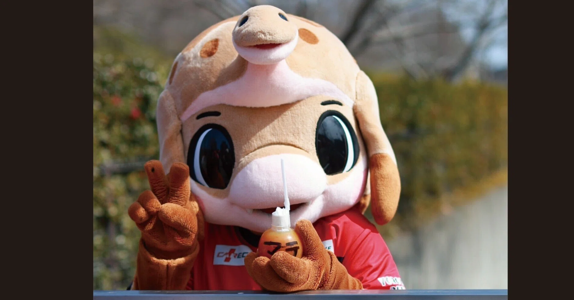 マリノスケマリン マリノス君 ぬいぐるみ スポーツ別 Jリーグ 横浜F