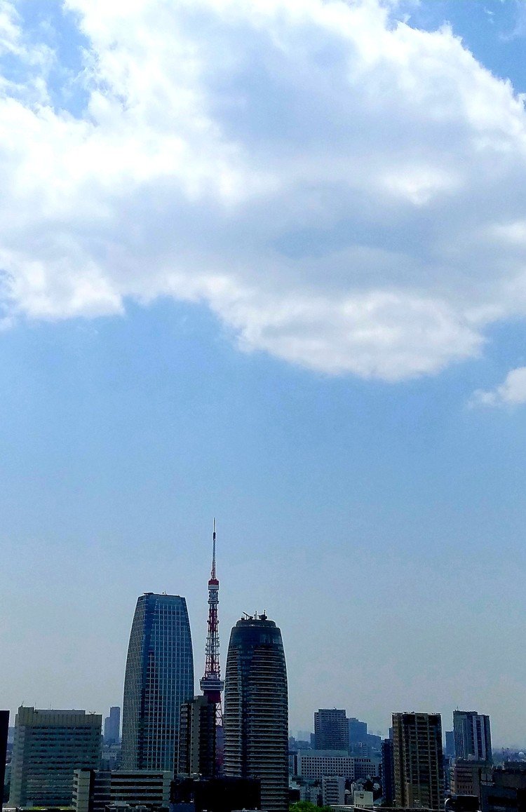 #20200513 #今日の東京タワー 
今日もお天気でしたね。東京タワー🗼さん


#東京タワー#東京 #tokyo #tower #japan 
#tokyotower #TorrediTokyo #Tourdetokyo #Токийскаябашня #TokyoKulesi #kekūkuluʻotokyo #πύργοςτουτόκιο #โตเกียวทาวเวอร์ #tokiontorni #東京鐵塔 #🗼🇯🇵 #🗼