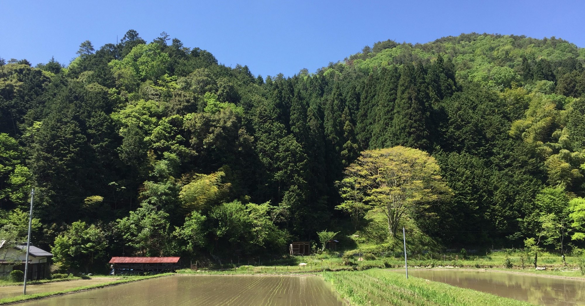 山の端の梢 金野幸雄 Note 山の端の梢 金野幸雄 Note