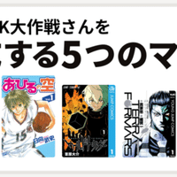 Fixion The Oral Cigarettes Adirock大作戦 Note