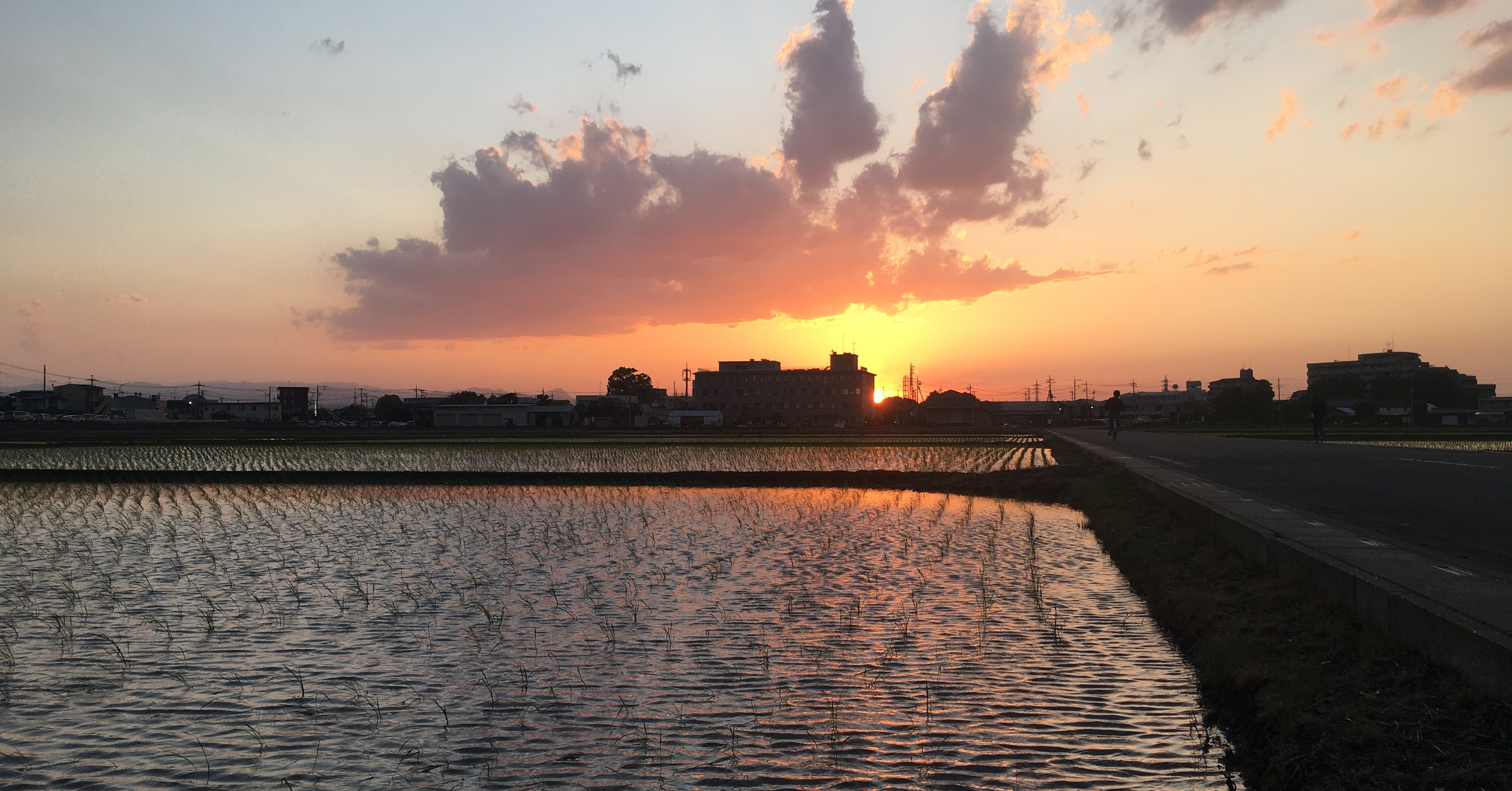 いのちを養う2日目 練気功 Ayako Takano Note