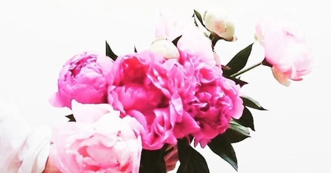 Spring Preparation: Skin, Mental Health, and Sleep Edition｜aya