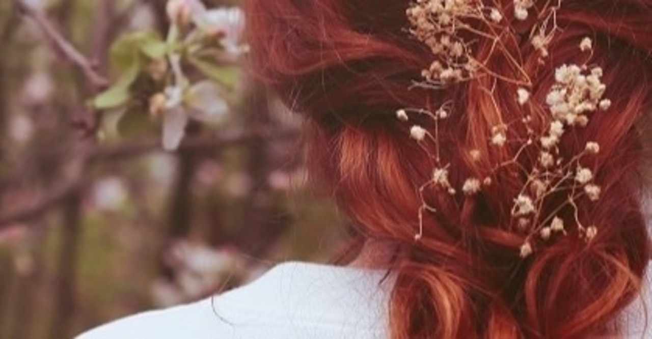 赤毛のアン の急上昇タグ記事一覧 Note つくる つながる とどける