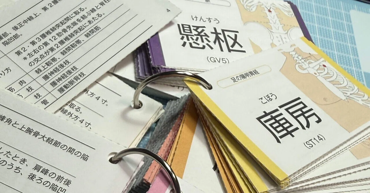 鍼灸学校一年目を終えて｜cyrol