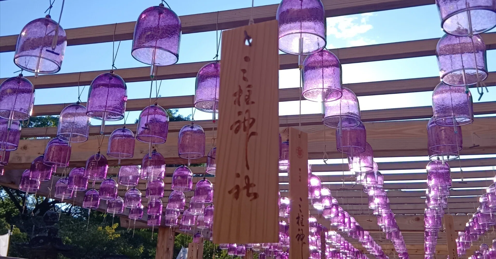 桃の節句（三柱神社）｜PANGAEA DeSIGN