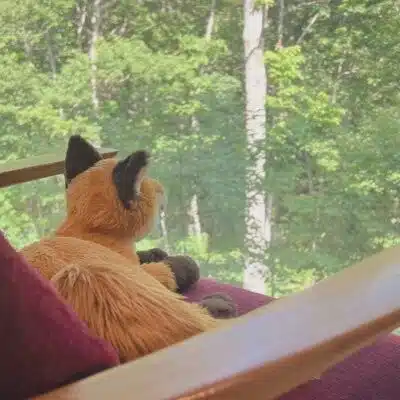 よんぬ