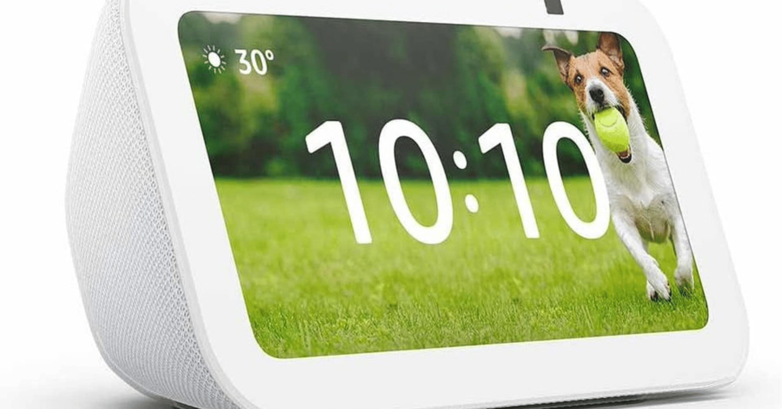 ビスコのエッセイ2026/03/03｜Echo show 5安すぎ。。』｜ビスコ