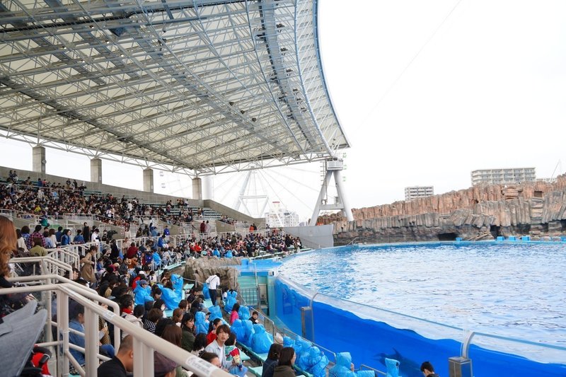 名古屋港水族館を120％楽しむ！大人の水族館ツアー～マイワシトルネードのバックヤード見学、水族館の楽しみ方講座、イルカショー見学まで10