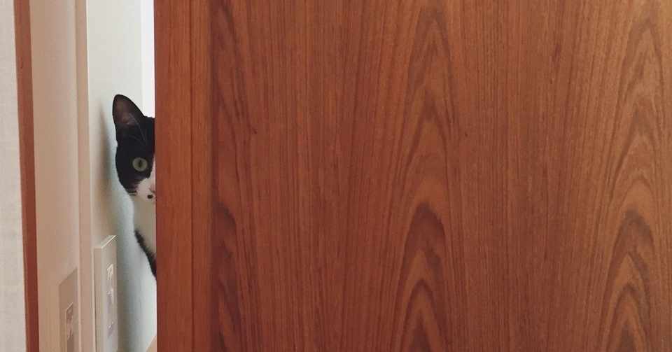 人見知りの私が 人前で話せるようになるまで オゼキカナコ Note