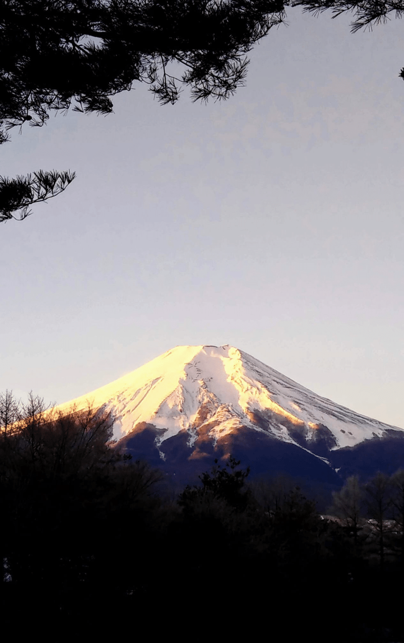 マガジンのカバー画像