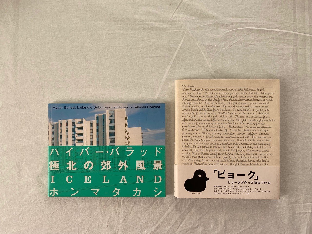 Hyper Ballad ホンマタカシ ハイパーバラッド Hyper Ballad―Icelandic Suburban Landscapes | ホンマ タカシ