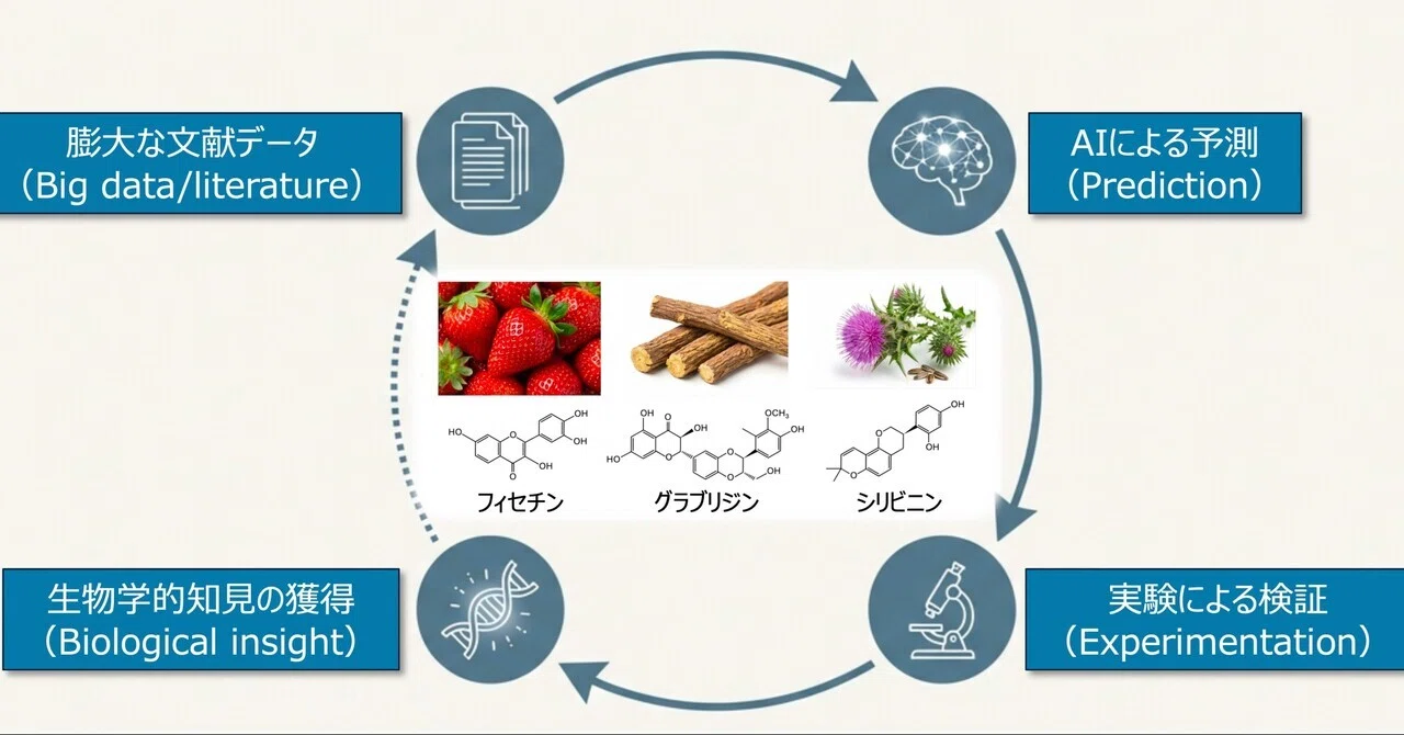 最新｜大腸がん細胞の増殖を抑える可能性がある3つの植物由来成分を特定