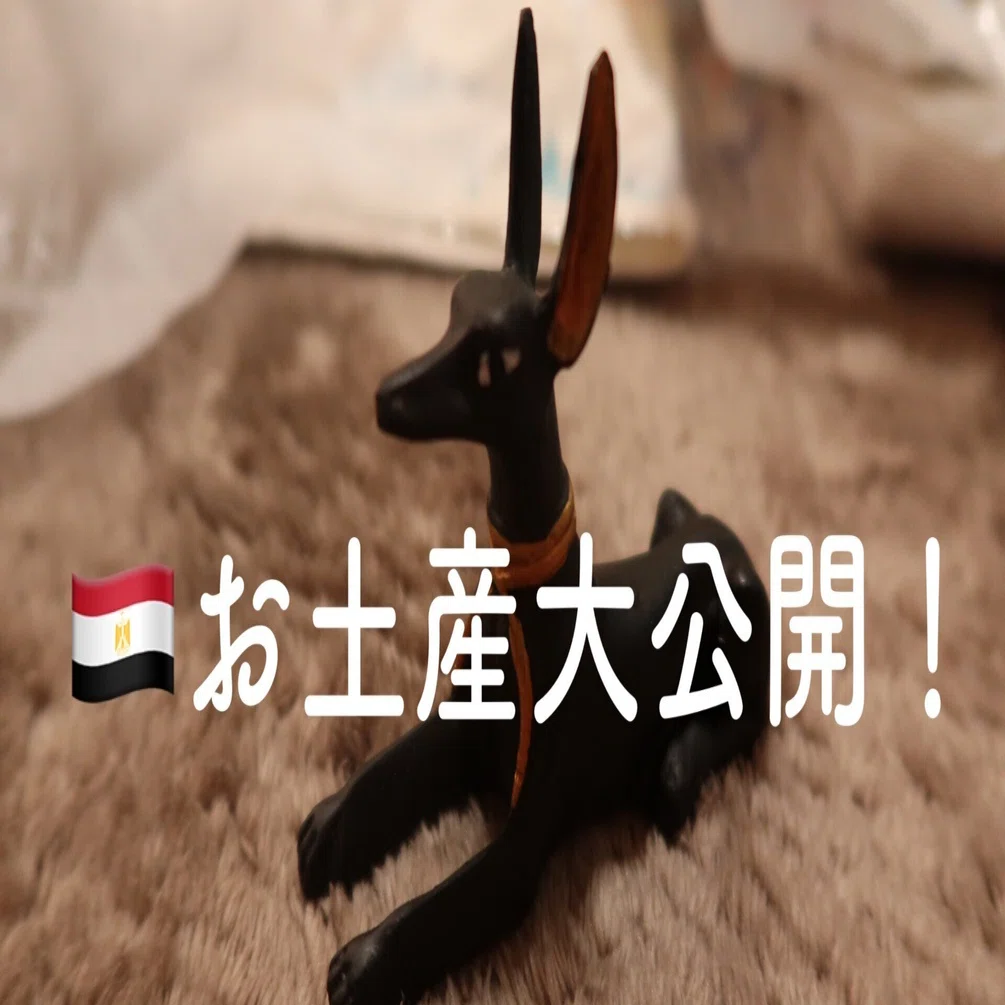 お土産で買ったもの全て大公開【エジプト旅行記 番外編】｜chika
