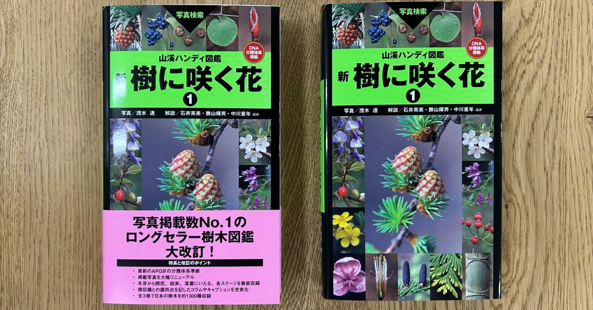 山溪ハンディ図鑑『樹に咲く花』が大改訂！ 変わった点は｜ヤマケイの本