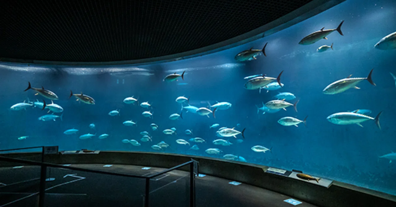 葛西 臨海 水族 園 レビュー