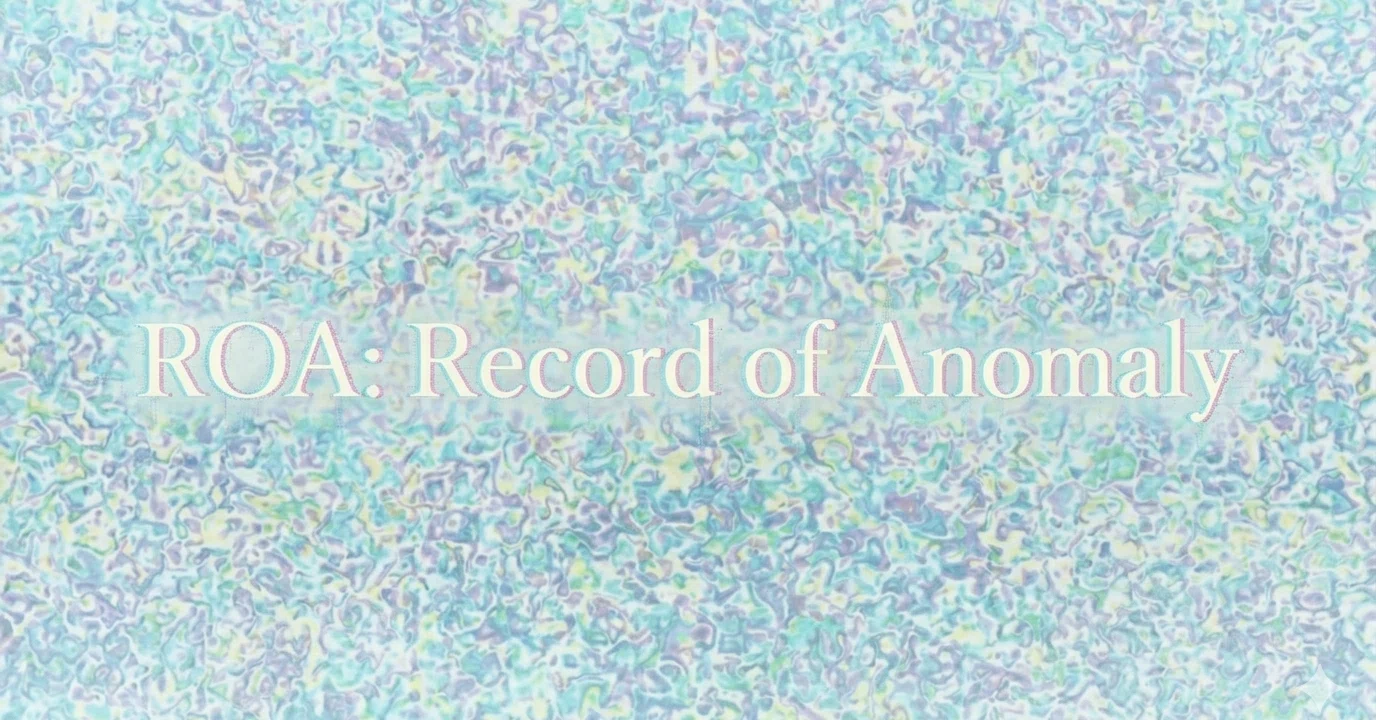 ROA：Record of Anomaly｜note