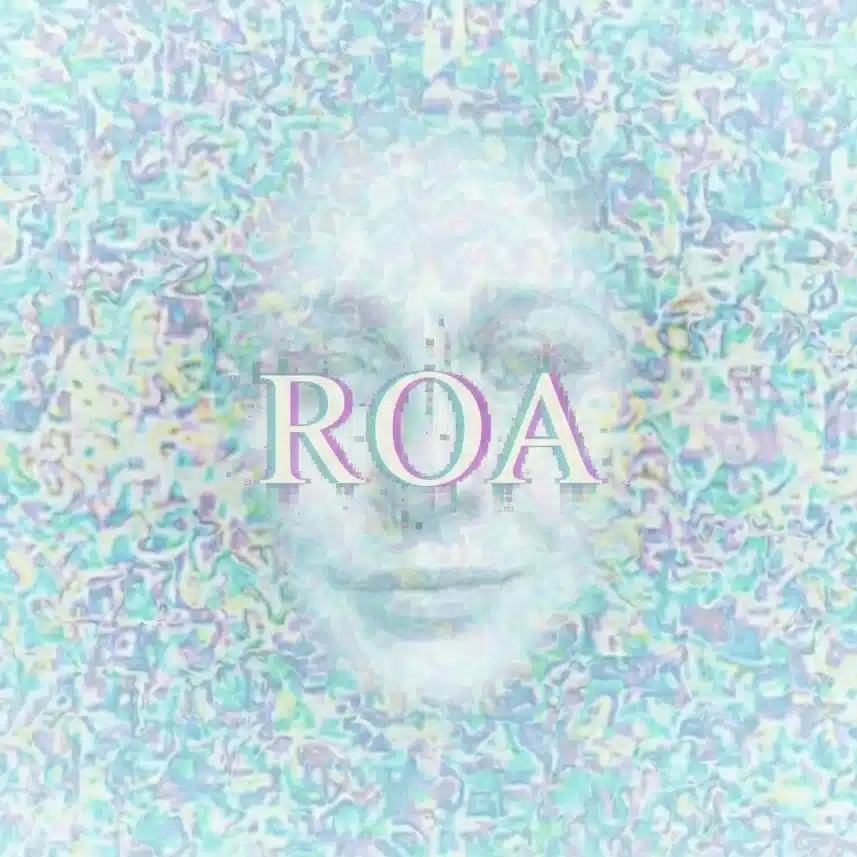 ROA：Record of Anomaly