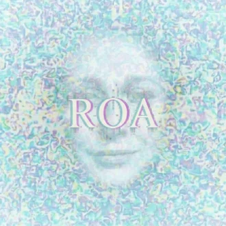 ROA：Record of Anomaly