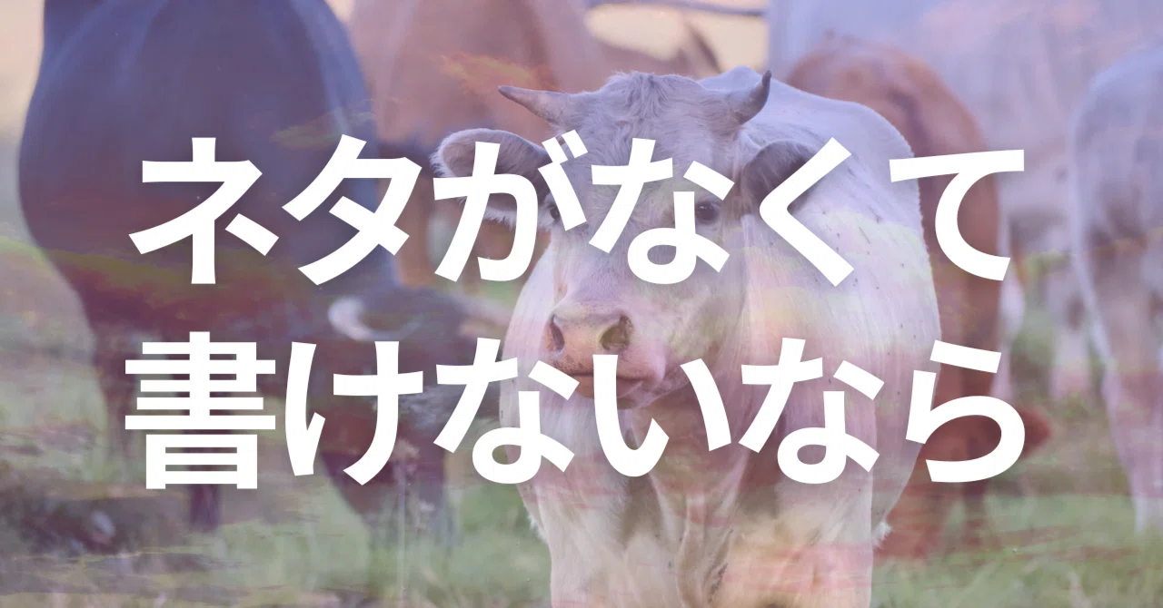 見出し画像