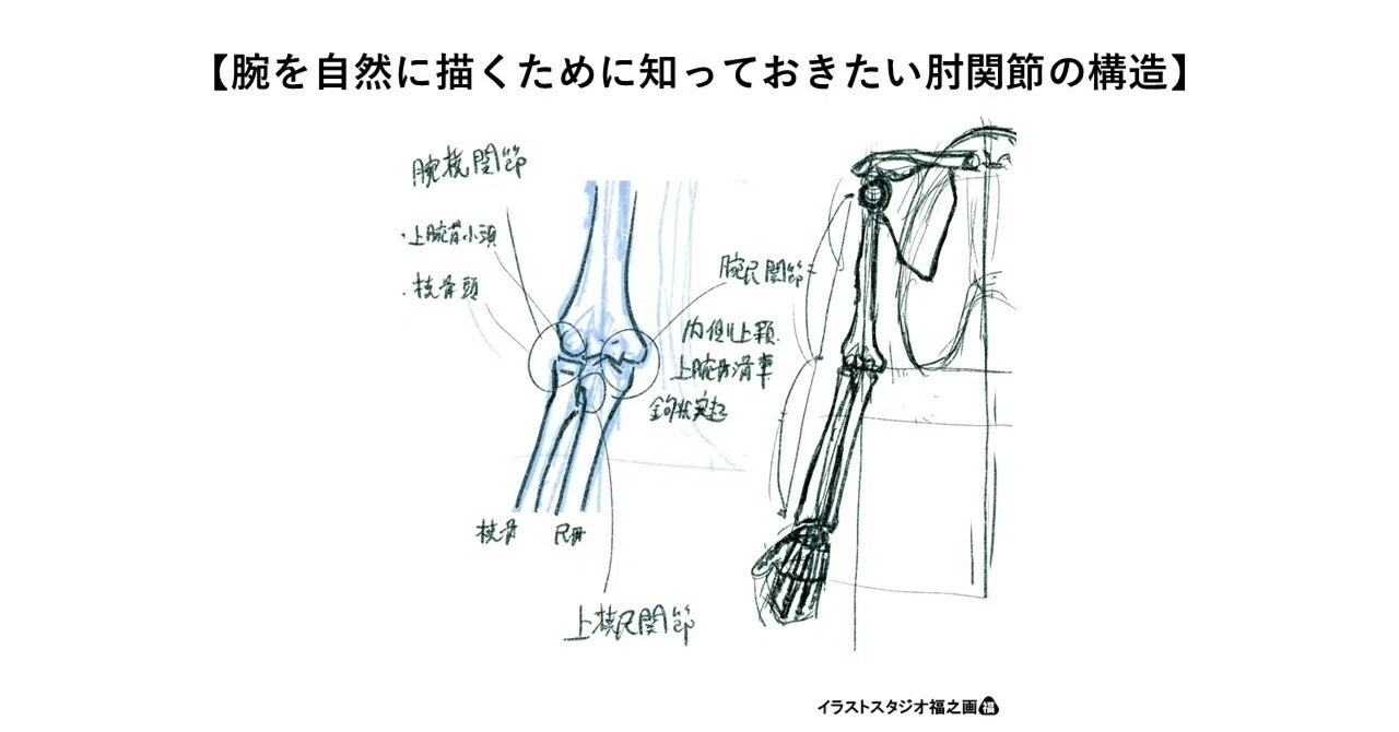 腕を自然に描くために知っておきたい肘関節の構造｜福山真樹