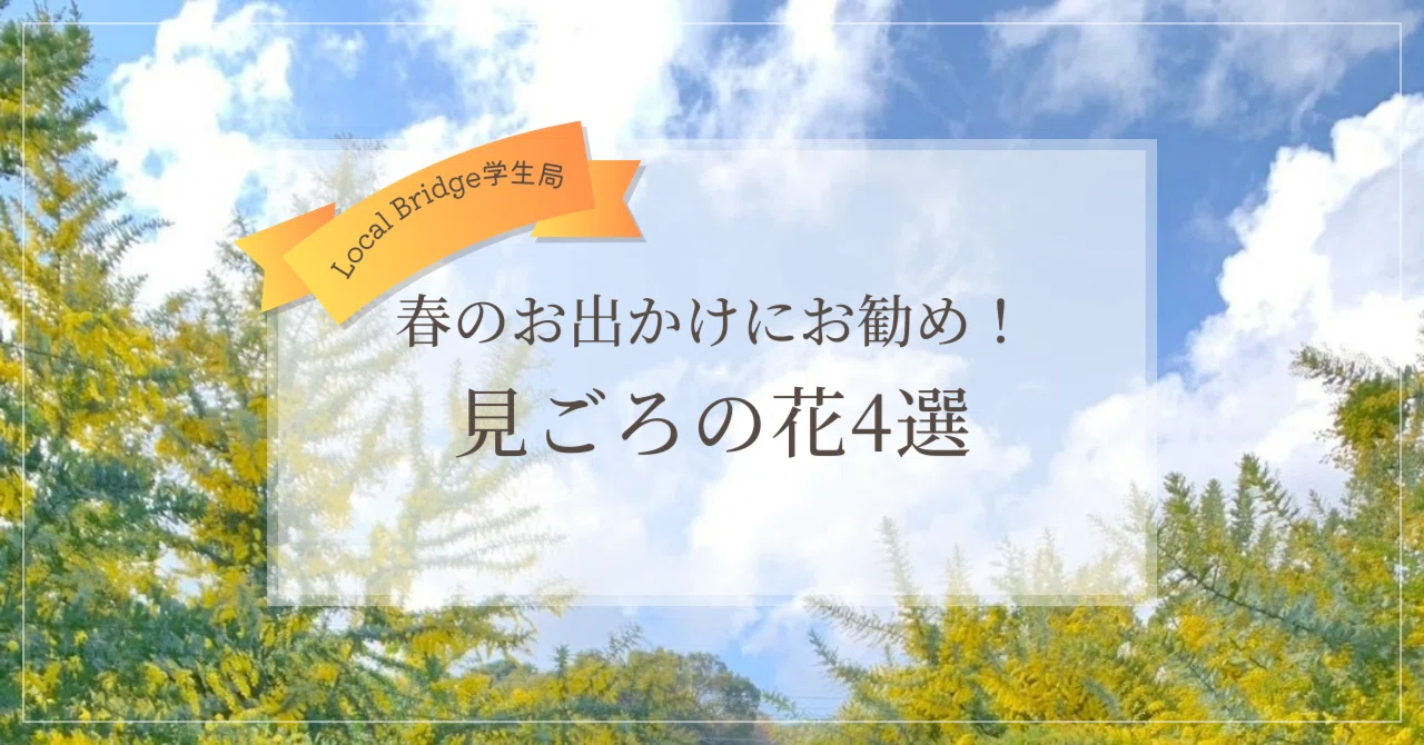20260307 【日常生活】春のお出かけにお勧め！見ごろの花4選｜Local