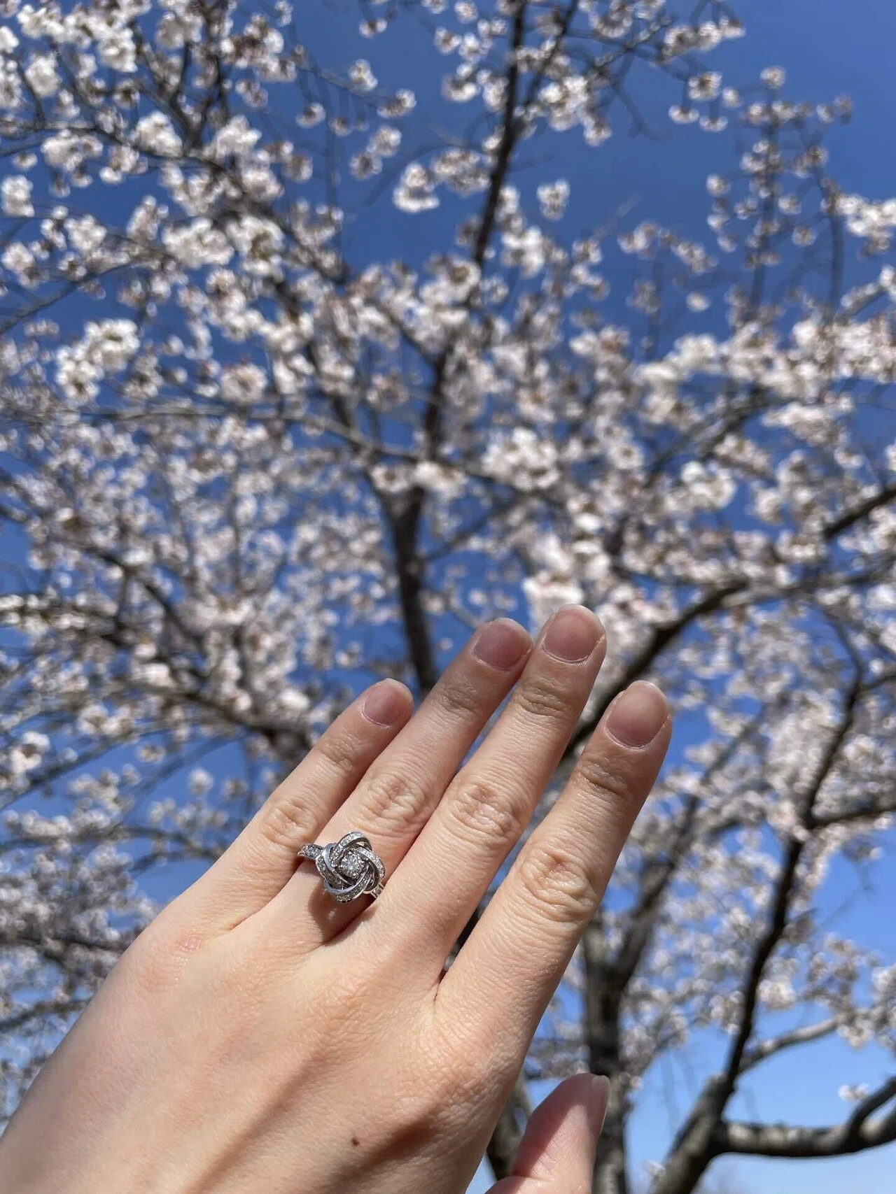 1年着用レビュー💎】ブシュロン「ピヴォワンヌ」を婚約指輪に選んだ