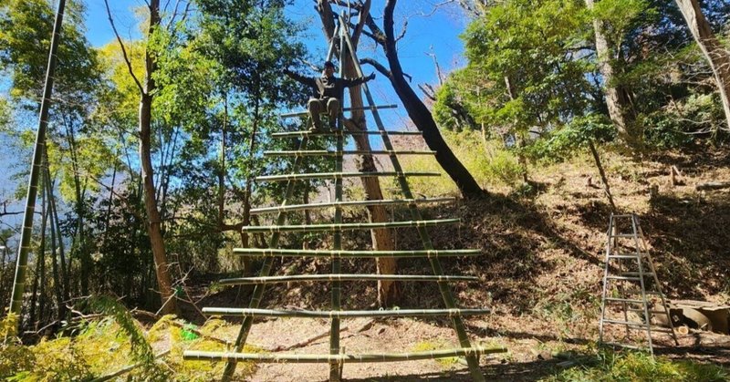 どんぐり山通信:竹のジャングルジム