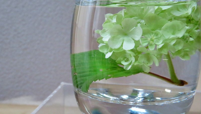 小瓶の花飾り 花と日々 Yas Note