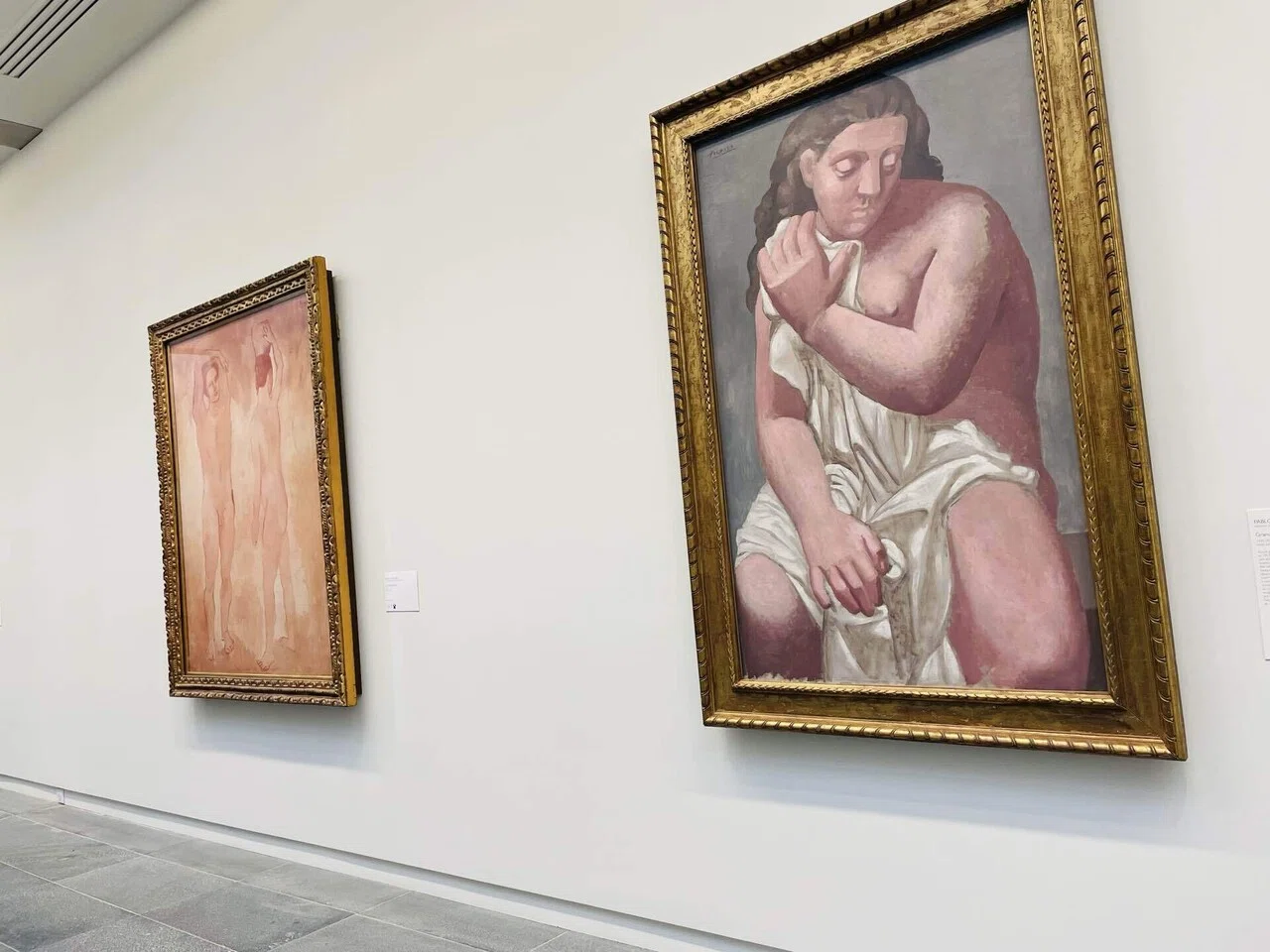 パリ旅④ 観たい絵がなかった(泣)【オランジュリー美術館】｜もり