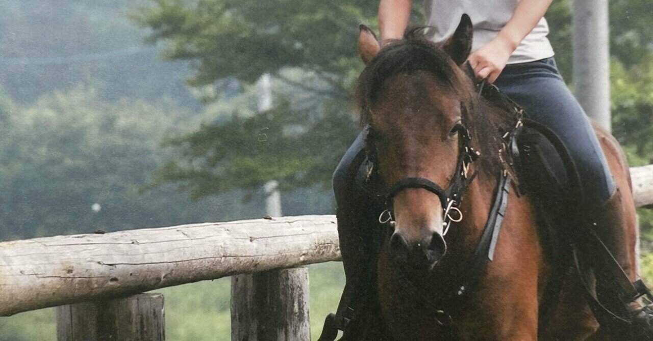 エンデュランスをかじる前に、マイナスに eyecatch