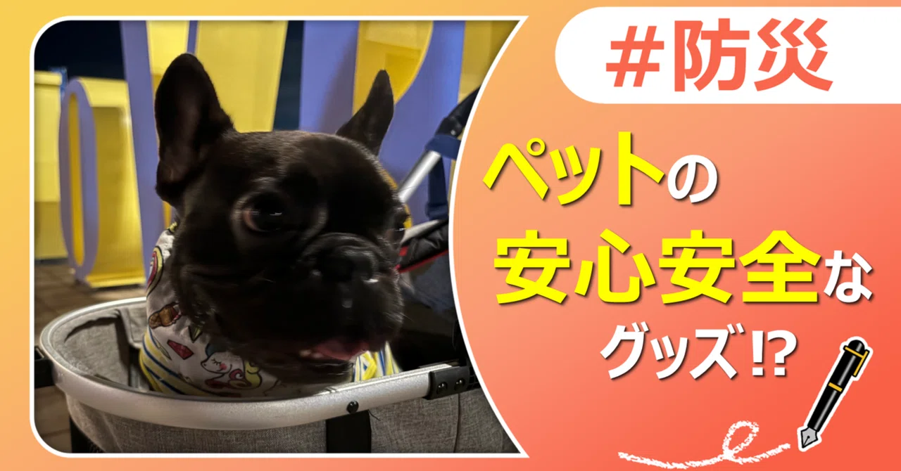 ワンちゃんも家族も“思い出”をつくる特別な1日 ｜J:COM地域取材ノート