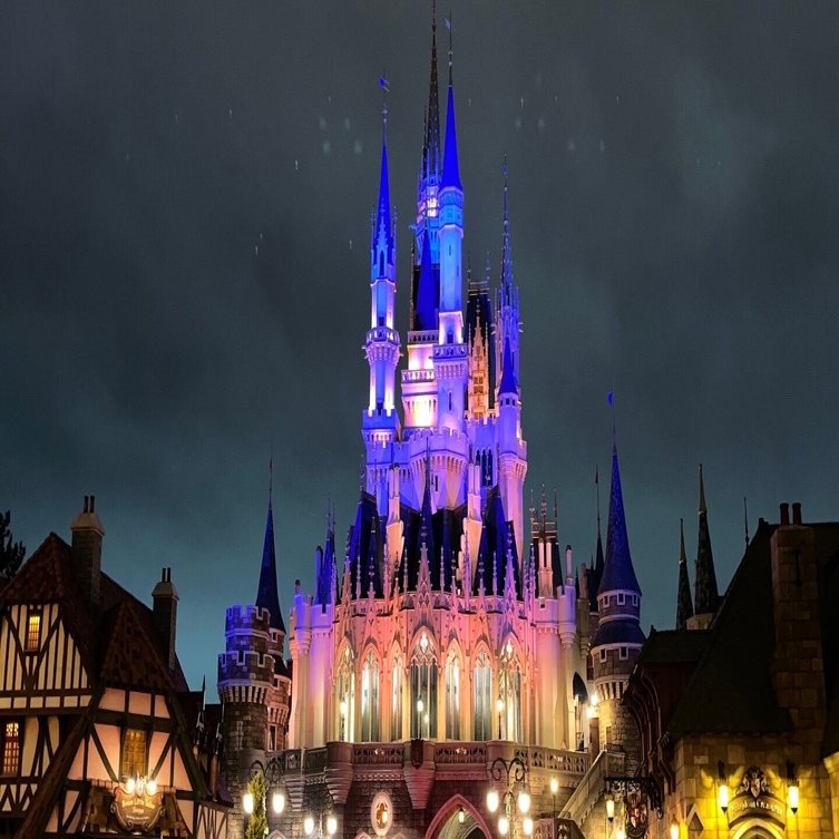 記念日ディズニーって楽しすぎるな！？｜めだまやき