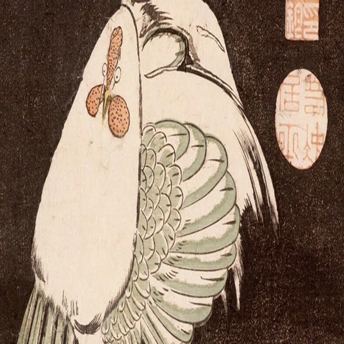 Bird-and-Flower Print Exhibition