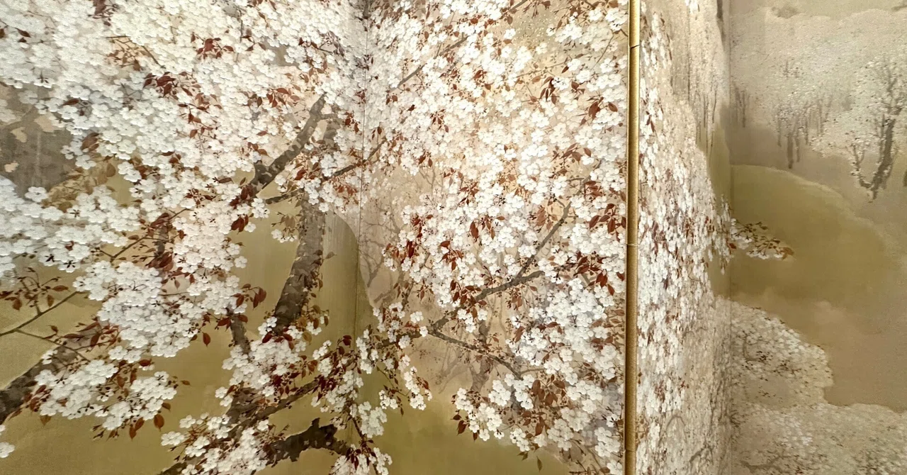 雨上がりの花見日和｜無為の茶客 | Kazuo Yoshida