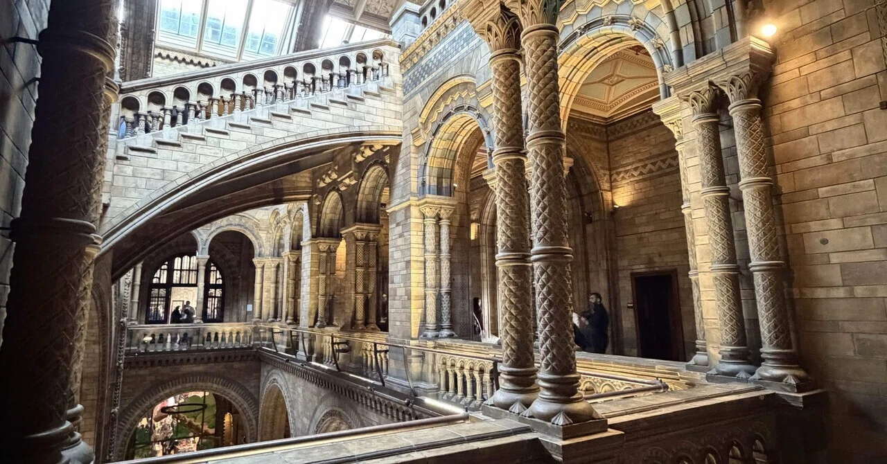 海外旅行】ロンドン自然史博物館｜すい