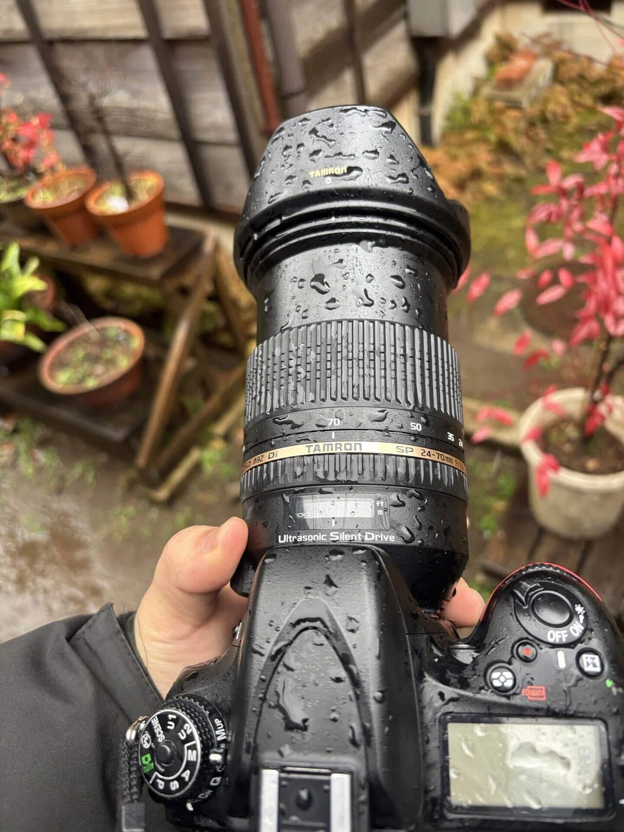 レンズレビュー】令和にレフ時代の大三元は通じるのか？【TAMRON SP 24