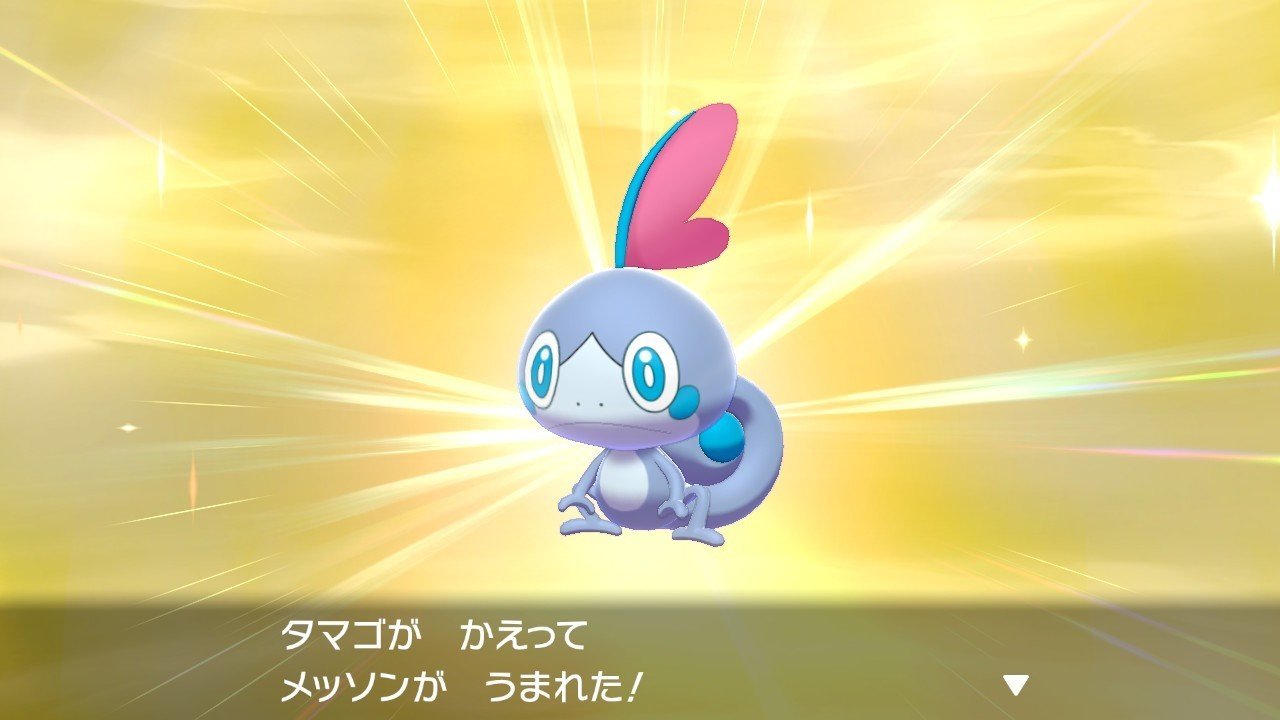 ポケモンアルファサファイア たまご 最高のイラストと図面