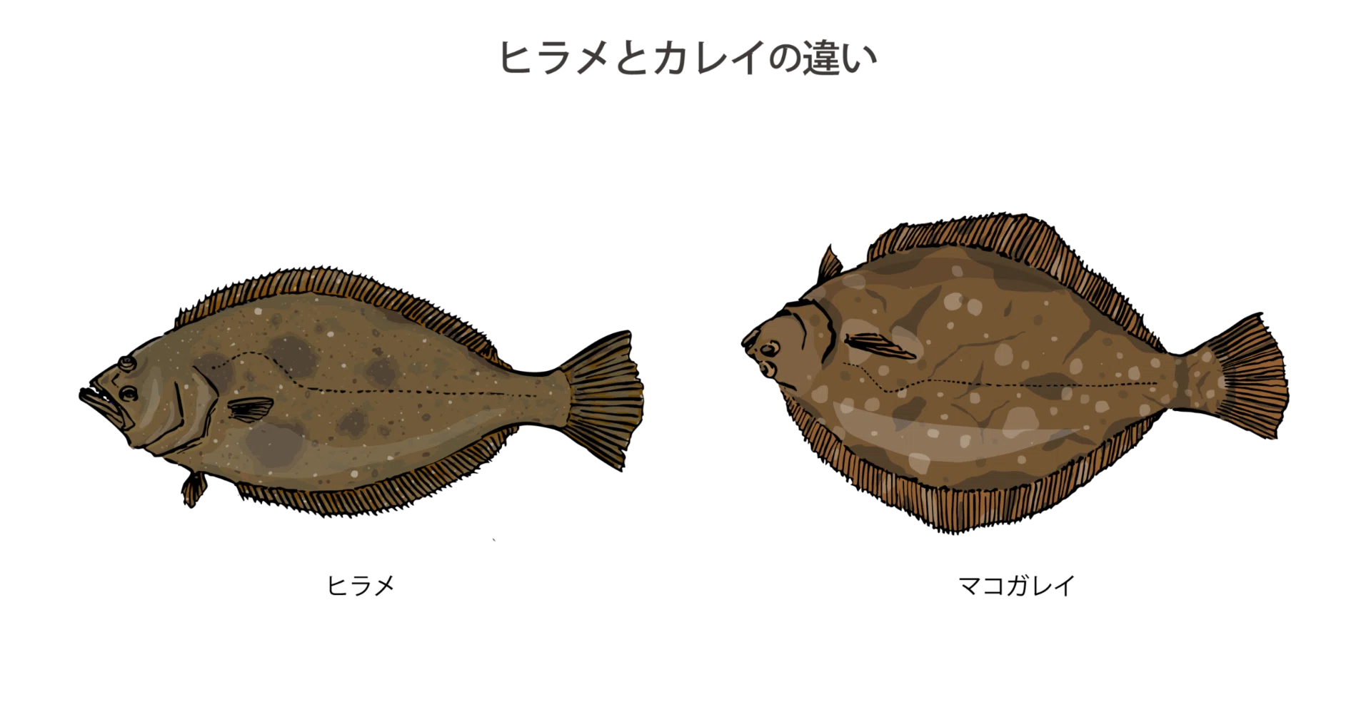なおざり と おざなり の 違い