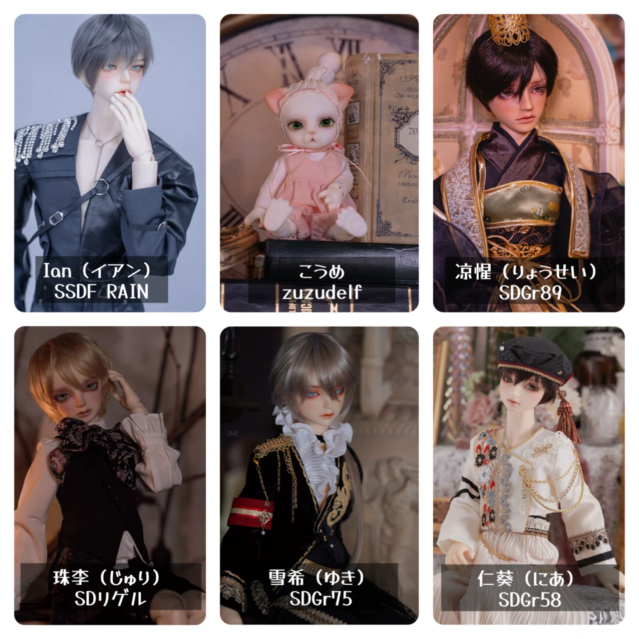 DOLL｜5周年｜UME